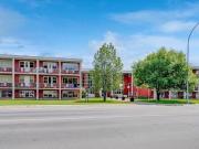 New Bachelor 4415 Rae St