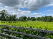 Deal! Keal Ryan Properties Limited, Ardmulchan, Navan,...