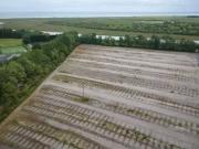 Nice Land to lease in Ramsgate Road, Sandwich, Kent, CT13