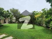 Defence 1000 Yards Beautiful Bungalow For Rent Defence 1000 Yards Beautiful Bungalow For Rent