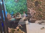 Defence phase 6 1250 square feet three bedrooms...