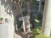 Defence Villa Sector F DHA 1, Corner, With Paid Extra...