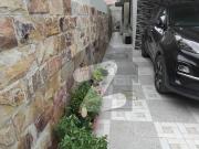 Defence Well Maintained 300 Yard Bungalow For Rent DHA...