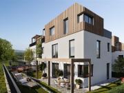 DEIN WEINGARTEN Grünblick in den Weinbergen