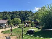 Deine Tiere und Du bei Feldbach