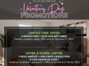 Delmar Apartments for Rent