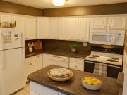 Delta Arms Apartments 2 Bed 2 Bath W/D for 4 people rate...