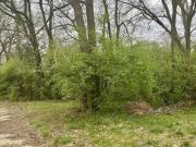 Delta Ave Lot,nashville, Plot For Sale