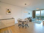 Deluxe Apartment with top view balcony and pool, Vienna...