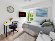 Deluxe Premium 19 Robinson Deluxe Premium 19 Robinson