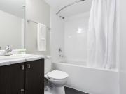 Deluxe Premium Room 561 Sherbourne