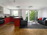 Deluxe Studio C Has an Apartment