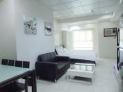 Deluxe Studio Fully Furnished Apartment in Cebu Business...