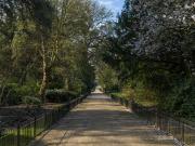 Deluxe two bedroom apartment at Cheval Hyde Park Gate