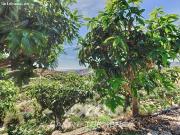 Demeter Finca en Málaga Un paraíso para los amantes de...