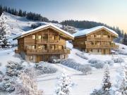 Demi Chalet au pied des pistes