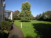 Demnächst frei! 2 Zimmer Wohnung in Dortmund Brackel