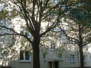 Demnächst frei! 2 Zimmer Wohnung in Essen Altendorf