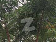 Demolish House Corner Park Facing 40 By 40 West open L...