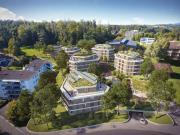 Den Rütiwald vor Ihrer Haustüre!