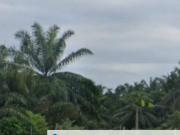 Dengkil land 48868 sf