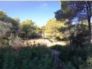 Denia Se vende parcela en Las rotas