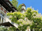 Denkmalgeschützte Jugendstilvilla mit Grünanlage und...