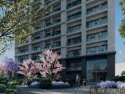 Depa Nuevo en Ciudad Del Sol Preventa Depa Nuevo en Ciudad Del Sol Preventa