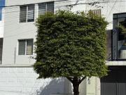 Departamento 133 m2 con 3 recámaras en venta, Colomos...