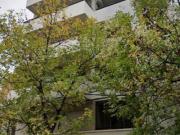 Departamento 1 dormitorio Alquiler