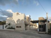 Departamento 1 hab en Renta Zona Country Milea