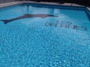 Departamento 3 departamento Delfines Playa Brava