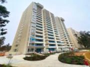 Departamento 3 dormitorios 2 baños, Algarrobo