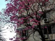 Departamento 4 ambientes con lavadero en Venta en San...