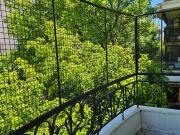 Departamento Alquiler 50 años 3 ambientes, con balcón,...