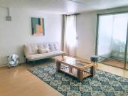 Departamento amoblado con patio interior y a pasos del metro