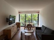 DEPARTAMENTO, AMUEBLADO, Av. Revolución, Brezo, San...