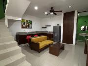 Departamento amueblado de 2 habitaciones con paneles...