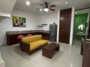 departamento amueblado de 2 habitaciones con paneles...