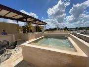 DEPARTAMENTO AMUEBLADO EN MONTES DE AMÉ EN RENTA CON...