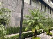 Departamento Amueblado en Renta, Coyoacán, Ciudad de México