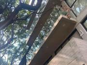 Departamento amueblado en Renta en Cuauhtémoc,...