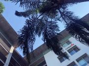 DEPARTAMENTO AMUEBLADO EN RENTA EN SAN JERÓNIMO DE 2...