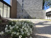 departamento amueblado en renta en torre canteras