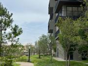 NUEVO PRECIO Departamento AMUEBLADO en RENTA LA CEIBA...