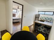 DEPARTAMENTO AMUEBLADO EN SANTIAGO, CENTRO AMUEBLADO