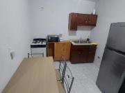 Departamento amueblado tipo loft en Mitras Norta