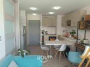 Departamento Anibal pinto ID: 145340s