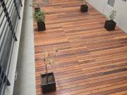 DEPARTAMENTO AVENIDA CHAPULTEPEC