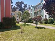 Departamento año corrido Algarrobo